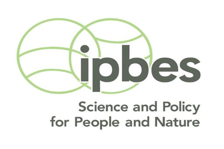 (Ipbes)