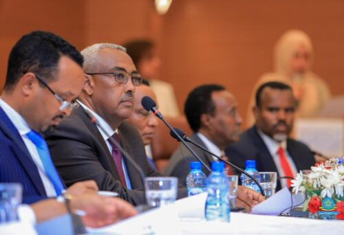 etiopia-somalia-delegacion