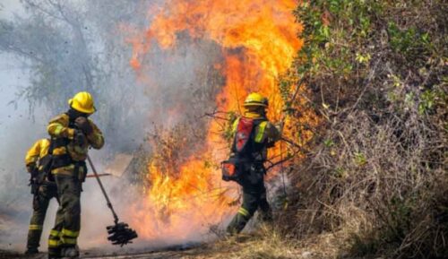 incendios-forestales-consumen-miles-de-hectareas-en-ecuador