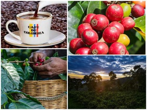 comienza-con-amplia-agenda-xiv-edicion-de-cafes-de-colombia