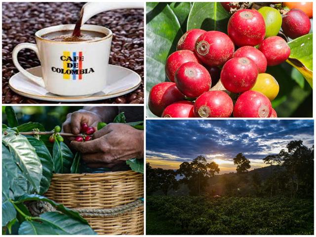 comienza-con-amplia-agenda-xiv-edicion-de-cafes-de-colombia