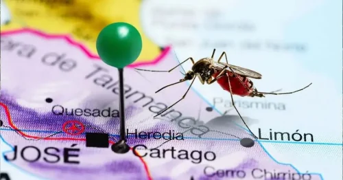 alertan-en-costa-rica-sobre-aumento-de-casos-de-dengue