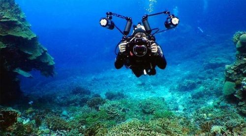comenzaron-jornadas-competitivas-de-mundial-de-fotografia-subacuatica