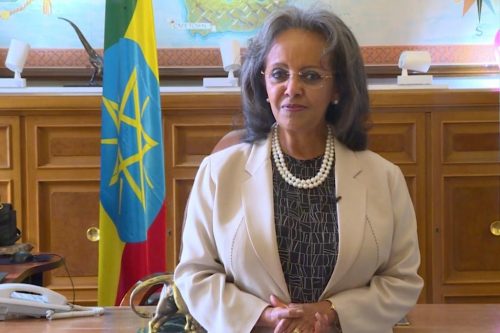 economia-politica-exterior-y-trabajo-con-oim-marcaron-semana-etiope