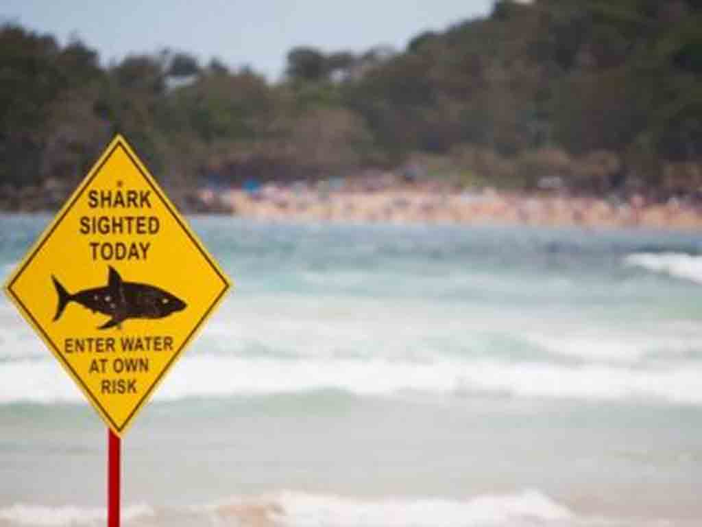reabren-playas-sudafricanas-ya-seguras-contra-tiburones
