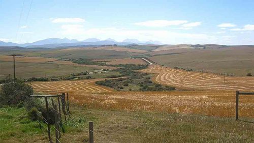 recomiendan-nueva-metodologia-para-producir-mas-alimentos