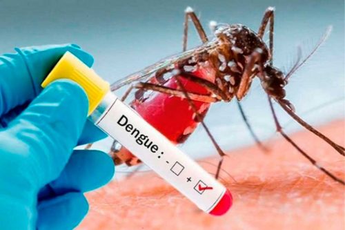 experta-paraguaya-alerta-sobre-posible-reaparicion-de-dengue-visceral