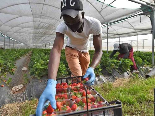 aumenta-en-italia-la-demanda-de-trabajadores-poco-calificados