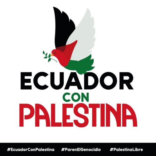 apoyo-a-palestina-resalta-en-las-redes-sociales-desde-ecuador