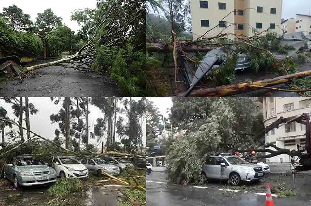 suman-siete-las-muertes-en-brasilena-sao-paulo-por-temporal