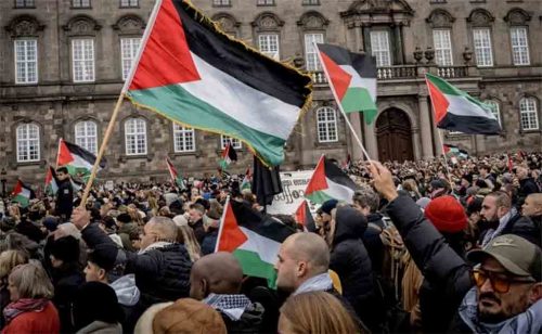 activistas-recogieron-56-mil-firmas-por-palestina-en-dinamarca