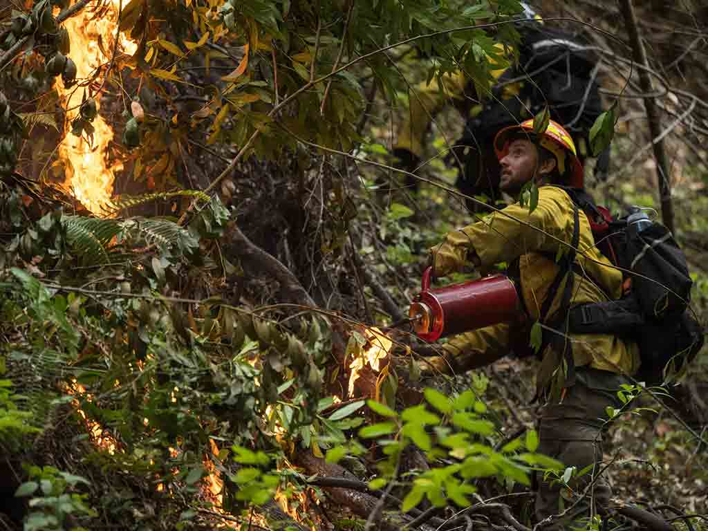 recomiendan-incendios-controlados-para-evitar-grandes-siniestros