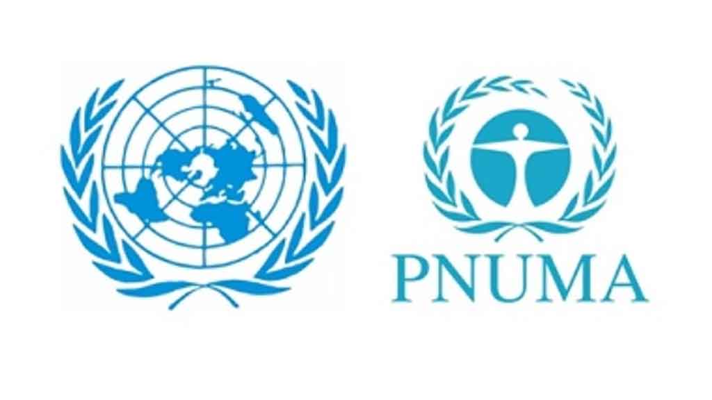 onu-pnuma