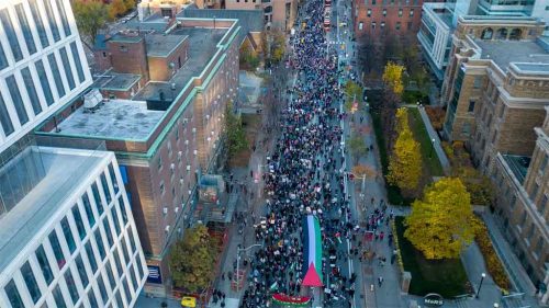 protesta-suecia-palestina