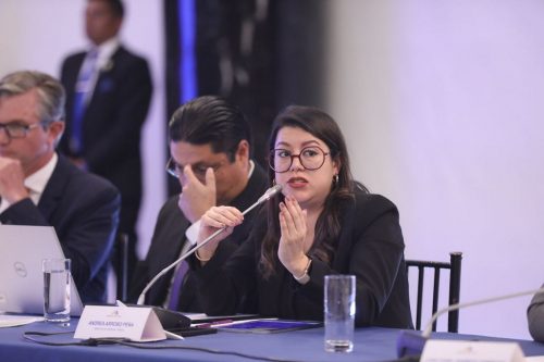 gobierno-de-ecuador-analiza-plan-para-reduccion-de-subsidios