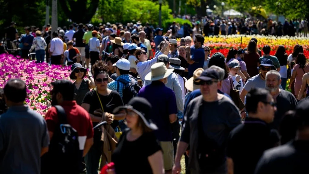 canada-reporta-aumento-en-su-poblacion