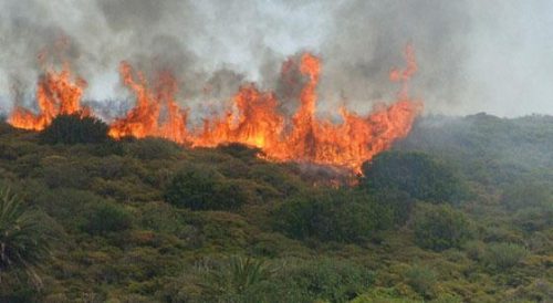 incendio-forestal-en-colombia-afecta-la-zona-sur-de-bogota