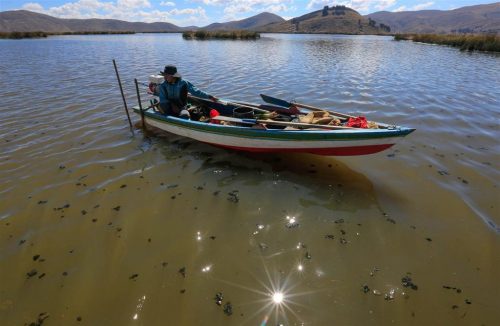 con-cifra-millonaria-bolivia-combate-contaminacion-de-lago-titicaca