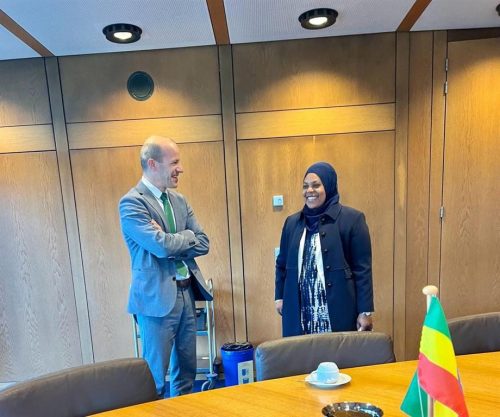 etiopia-y-alemania-dialogaron-sobre-temas-de-cooperacion-en-curso