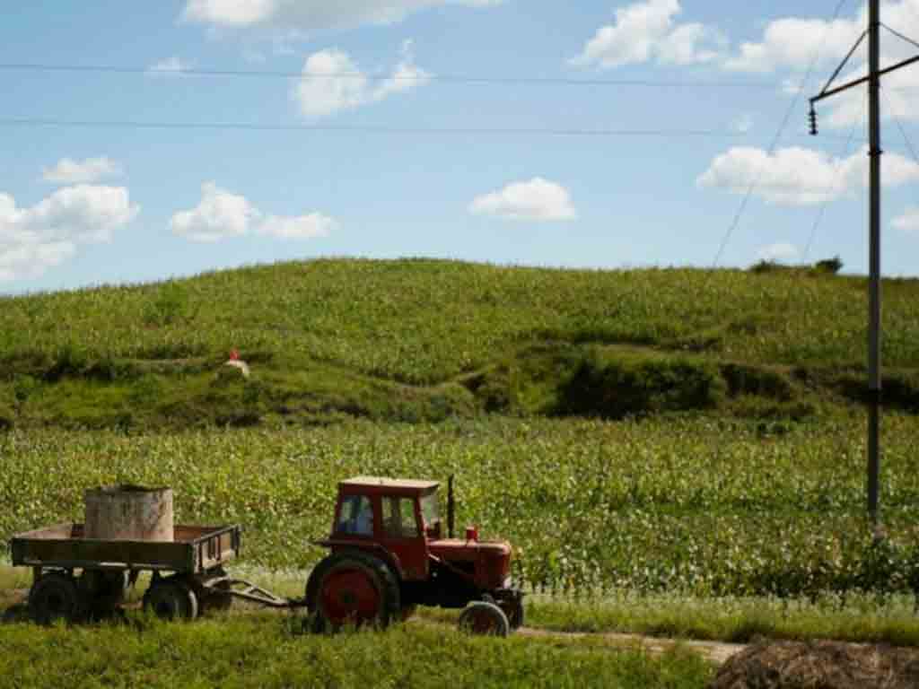 aumenta-en-rpdc-produccion-de-fertilizantes