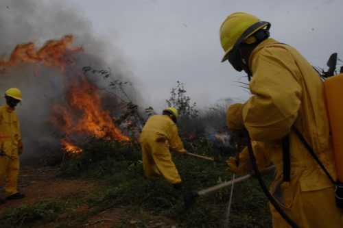 prevencion-de-incendios-forestales-en-cuba-en-nuevo-instrumento-legal
