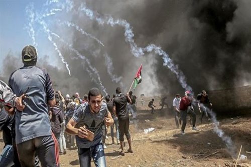 israel-mato-a-miles-de-estudiantes-palestinos-desde-octubre