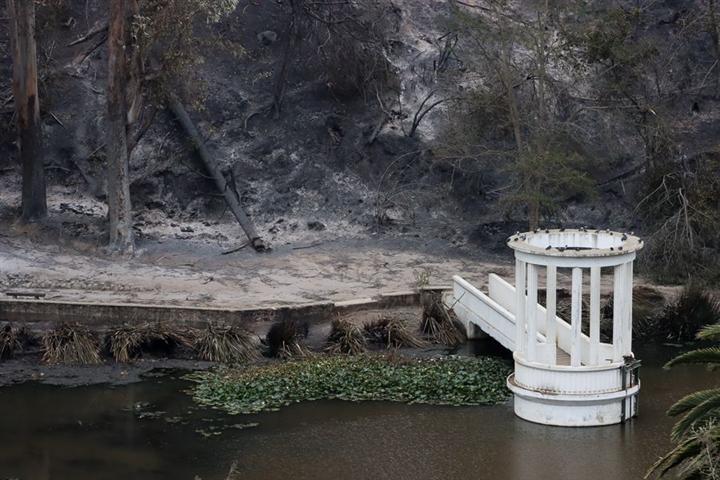  restauraran-jardin-botanico-de-vina-del-mar-arrasado-por-incendios