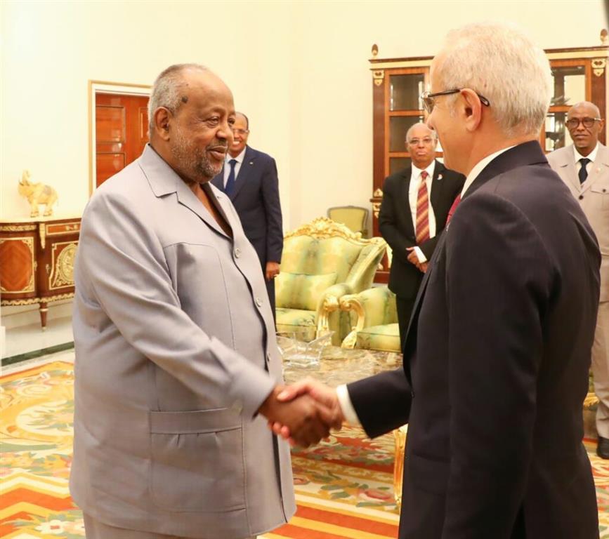  presidente-yibutiano-recibio-a-delegacion-turca-para-ampliar-nexos