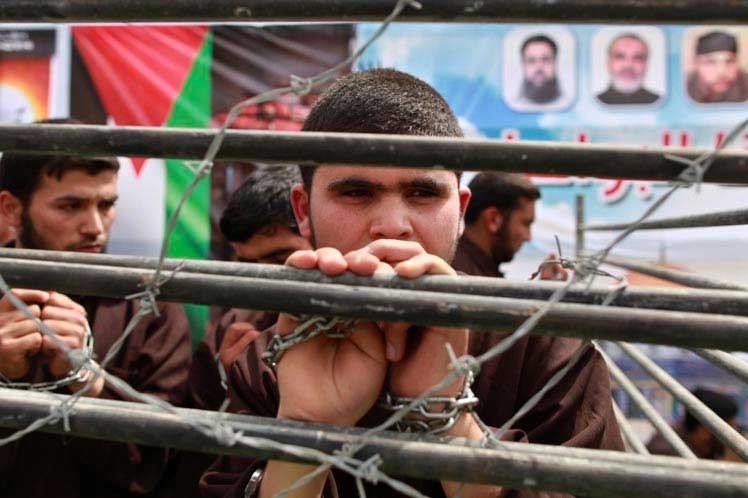 informe-israeli-reconoce-pesimas-condiciones-para-presos-palestinos