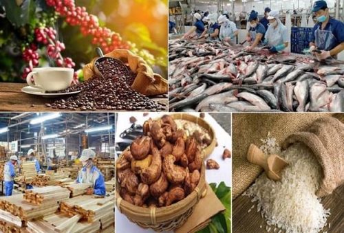 vietnam-cuadriplica-superavit-comercial-en-agro-y-pesca